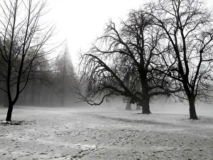 Deserted Winter Landscapes Imprime: Winter