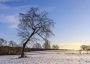 Winter Landscape Berlin Imprime: Winter landscape, fields and fields in Berlin Lubars