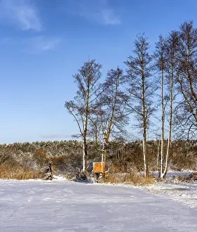 German Countryside Winter Scene Imprime: Winter landscape, fields and fields in Berlin Lubars