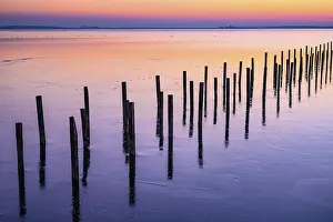 Lower Saxony Winter Landscapes Imprime: Winter sunset at the Dummer