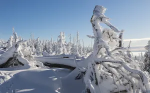 Deserted Winter Landscape Imprime: Winterlandschaft