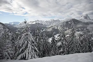 Winter Panorama Imprime: Winterly