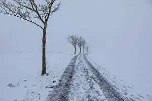 European Winter Landscapes Imprime: Wintry landscape at diffuse light in Germany