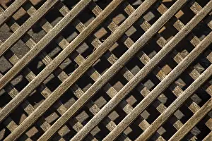 Old Wooden Plank Texture Imprime: Wooden surface as a solid background texture