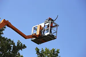 Deciduous Tree Care Imprime: Workers on the work platform pruning or maintaining trees