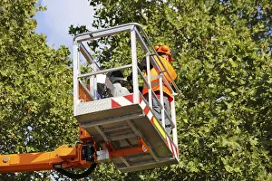 Green Space Management Imprime: Workers on the work platform pruning or maintaining trees