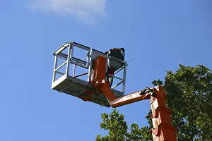 Deciduous Tree Care Imprime: Workers on the work platform pruning or maintaining trees