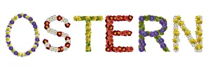 German Botany Inflorescence Imprime: Writing 'Oster' (Easter)