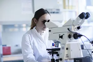 Laboratory Examination Process Imprime: Young laboratory assistant with microscope and sample working in a laboratory with light microscope