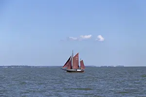 Zeesboot Regatta Imprime: Zeesboot Regatta, Wustrow, Saaler Bodden