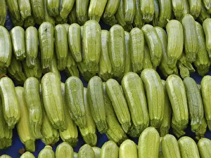 Zucchini Nutrition Imprime: Zucchini