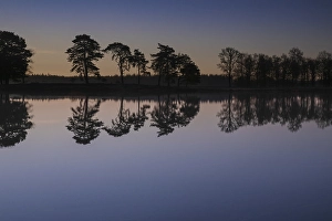 Dutch Winter Landscape Imprime: Appelscha
