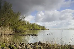 Netherlands Landscape Photography Imprime: Biesbosch