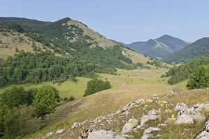 European Landscapes Nature Imprime: Campolongo