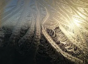 Frozen Winter Scene Imprime: Frost on window
