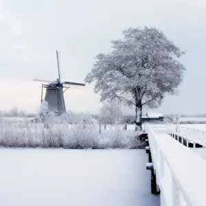Impresión enmarcada : Kinderdijk