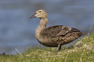 Imágenes fechadas el 27 de mayo de 2016: Eider Real