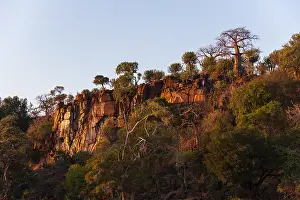 Low Angle Landscape Photography Imprime: Low angle view of cliffs, lined with trees including baobabs