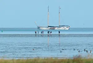 Septiembre Imprime: Paseo por la marisma.