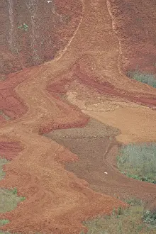Oderdelta, Oderdelta