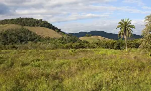 South America Photography Imprime: Regua