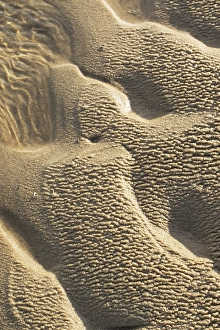 Wadden Sea Nature Reserve Imprime: Sand pattern