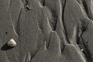 Low Tide North Sea Coast Imprime: Sand pattern