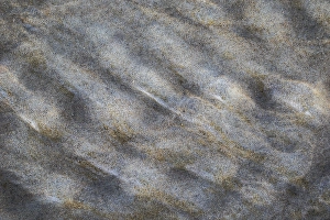 North Sea Sandy Shores Imprime: Sand pattern