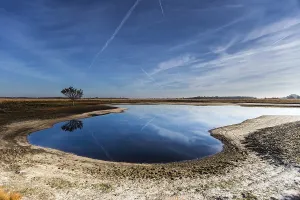 Wetland Landscape Germany Imprime: Solitaire tree at the field