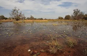 Tendaba