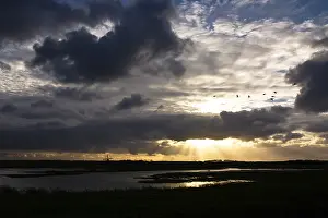 Impresión enmarcada : Texel, Texel. Impresión enmarcada : Texel, Texel.