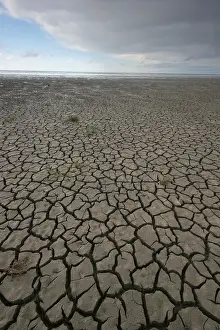 Netherlands Landscape Imprime: Waddenzee, Waddensea