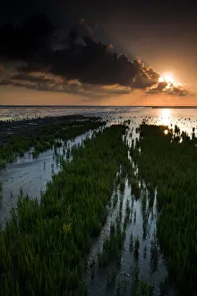 Dutch Coast Scenery Imprime: Waddenzee, Waddensea
