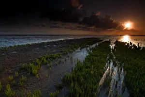 Wadden Sea Nature Reserve Imprime: Waddenzee, Waddensea