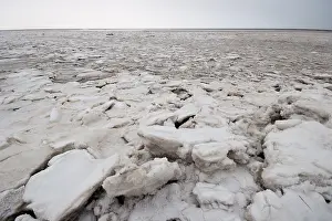 Impresión enmarcada : Waddenzee en invierno.