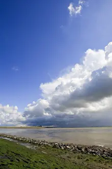Dutch Coastline Scenery Imprime: Westerschelde