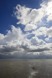 Low Tide Netherlands Imprime: Westerschelde