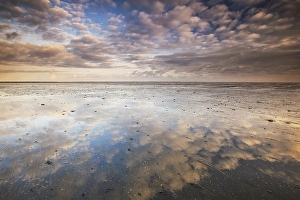 Low Tide Mudflats Europe Imprime: the Wierumerwad