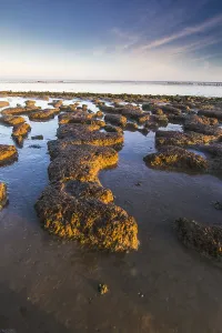 Low Tide Mudflats Europe Imprime: Wierumerwad, Waddenzee