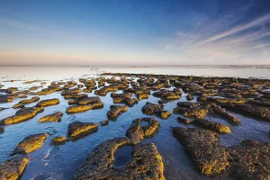Impresión enmarcada : Wierumerwad, Waddenzee Impresión enmarcada : Wierumerwad, Waddenzee