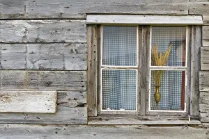 Imágenes fechadas el 28 de mayo de 2016: Window