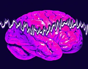 Human Brain Illustration Imprime: Brainwaves