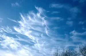 Cirrus Clouds Imprime: Cirrus Cloud