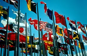International Flags Imprime: Flags of the World