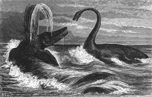 Paleontology Illustrations Imprime: Ichthyosaurus and Plesiosaurus