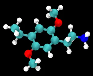 Molecular Model Imprime: Molecular Model of 2C-E