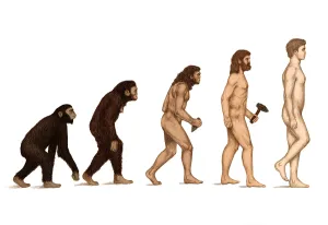 La Evolución Humana.