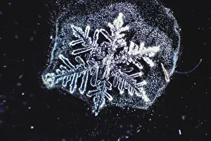 Winter Weather Patterns Imprime: Snowflake