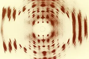 Deoxyribonucleic Acid Image Imprime: X-ray Diffraction