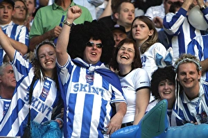 Football Supporters Cheering Imprime: 0078